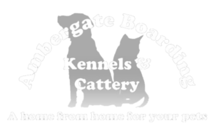 Ambergate Kennels & Cattery